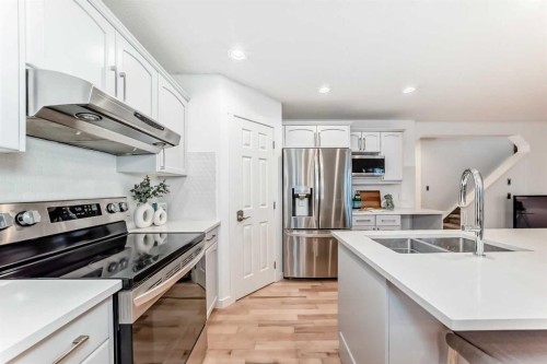 117 Chapalina Close Se, Calgary, AB - Indoor Photo Showing Kitchen With Double Sink With Upgraded Kitchen