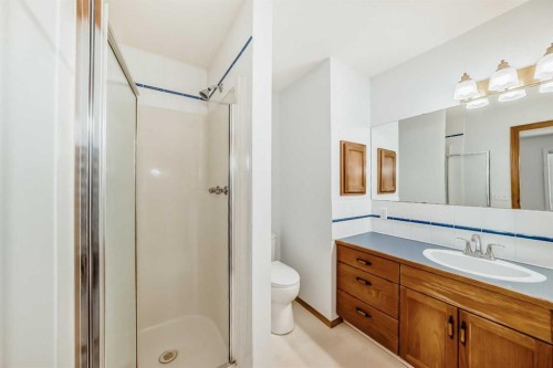 189 Balsam Crescent, Olds, AB - Indoor Photo Showing Bathroom