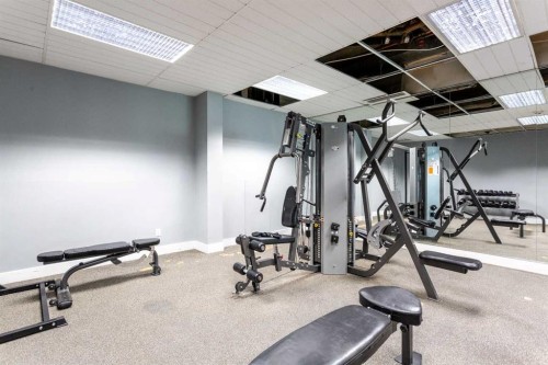 208-4944 Dalton Drive Nw, Calgary, AB - Indoor Photo Showing Gym Room