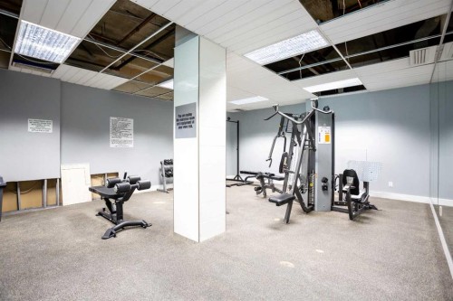 208-4944 Dalton Drive Nw, Calgary, AB - Indoor Photo Showing Gym Room