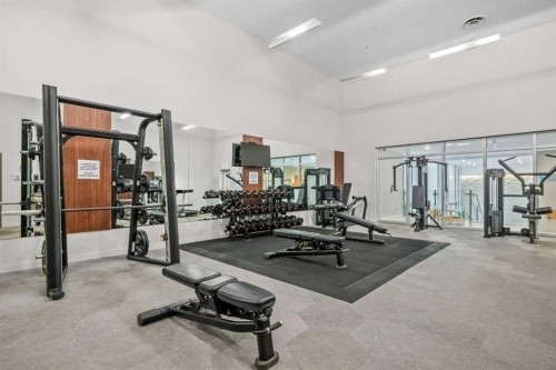 223-88 9 Street Ne, Calgary, AB - Indoor Photo Showing Gym Room