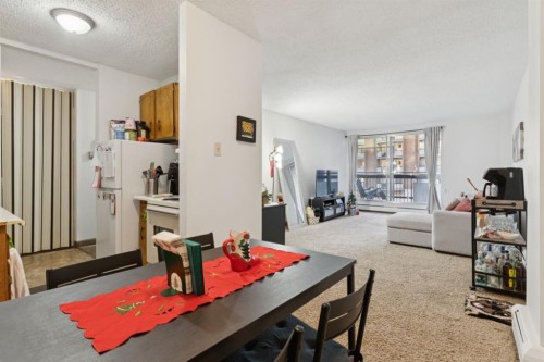 313-339 13 Avenue Sw, Calgary, AB - Indoor Photo Showing Living Room