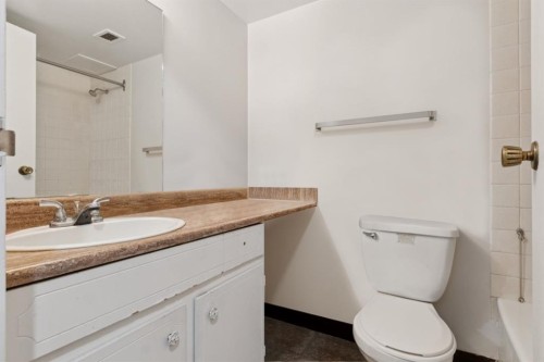 313-339 13 Avenue Sw, Calgary, AB - Indoor Photo Showing Bathroom