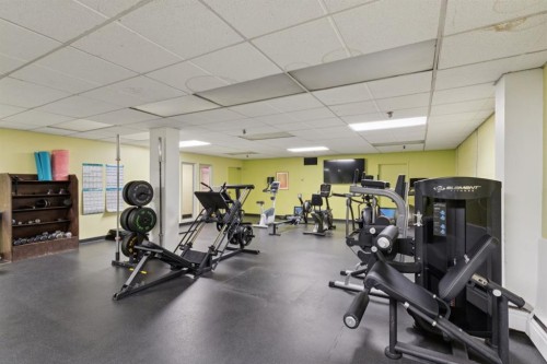 313-339 13 Avenue Sw, Calgary, AB - Indoor Photo Showing Gym Room