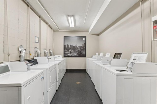 313-339 13 Avenue Sw, Calgary, AB - Indoor Photo Showing Laundry Room