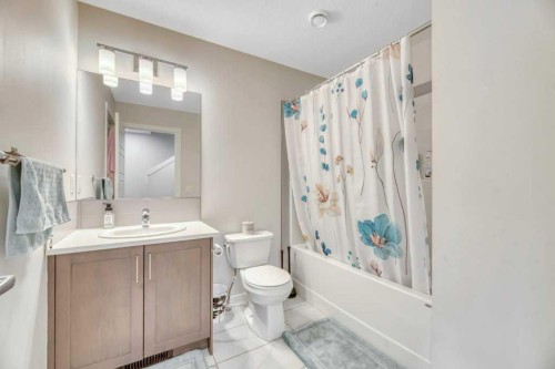 413-338 Seton Circle Se, Calgary, AB - Indoor Photo Showing Bathroom
