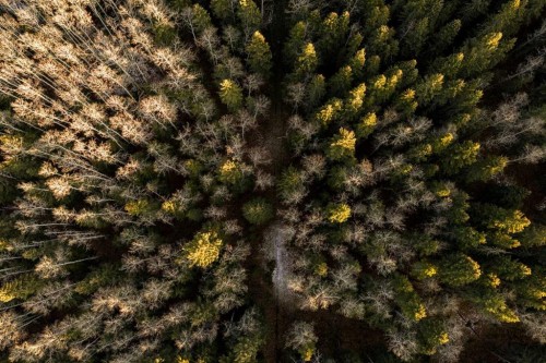 Water Valley Twp Rd 294A, Rural Mountain View County, AB 