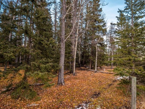 Water Valley Twp Rd 294A, Rural Mountain View County, AB 