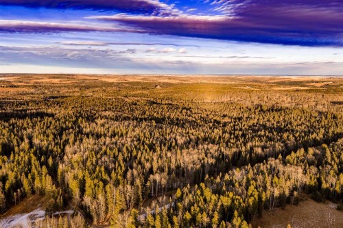 Water Valley Twp Rd 294A, Rural Mountain View County, AB 