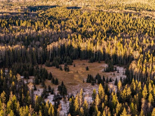 Water Valley Twp Rd 294A, Rural Mountain View County, AB 