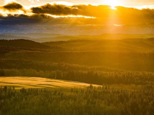 Water Valley Twp Rd 294A, Rural Mountain View County, AB 