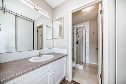 84 Inverness Square Se, Calgary, AB - Indoor Photo Showing Bathroom