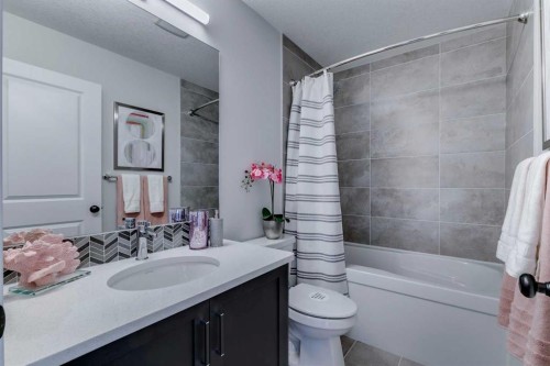 23 Belmont Place Sw, Calgary, AB - Indoor Photo Showing Bathroom