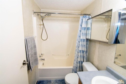 10 Westmount Drive, Cayley, AB - Indoor Photo Showing Bathroom