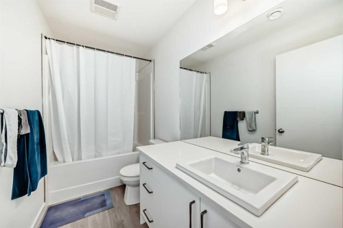 41-2117 81 Street Sw, Calgary, AB - Indoor Photo Showing Bathroom