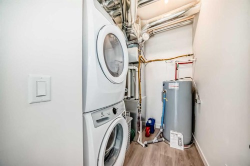 41-2117 81 Street Sw, Calgary, AB - Indoor Photo Showing Laundry Room