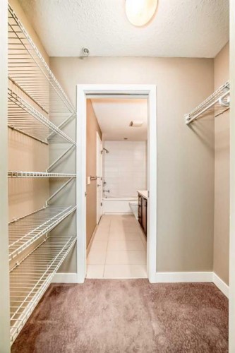 108-28 Auburn Bay Link Se, Calgary, AB - Indoor With Storage