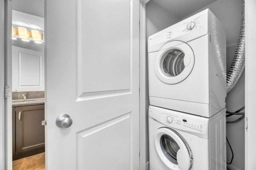 1419-6118 80 Avenue Ne, Calgary, AB - Indoor Photo Showing Laundry Room