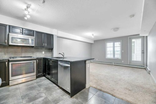 1419-6118 80 Avenue Ne, Calgary, AB - Indoor Photo Showing Kitchen With Stainless Steel Kitchen