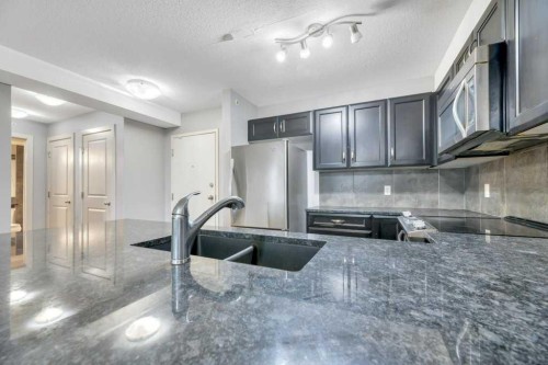 1419-6118 80 Avenue Ne, Calgary, AB - Indoor Photo Showing Kitchen With Stainless Steel Kitchen With Double Sink With Upgraded Kitchen