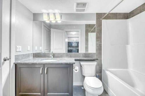 1419-6118 80 Avenue Ne, Calgary, AB - Indoor Photo Showing Bathroom
