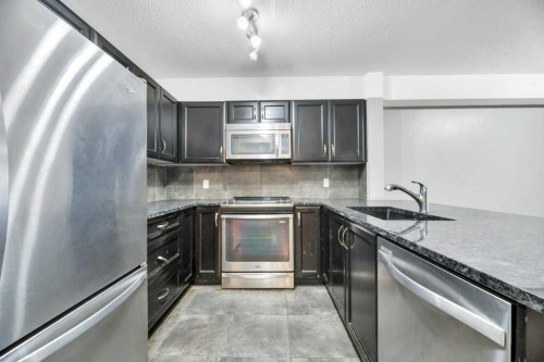 1419-6118 80 Avenue Ne, Calgary, AB - Indoor Photo Showing Kitchen With Stainless Steel Kitchen With Upgraded Kitchen