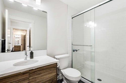 511-10060 46 Street Ne, Calgary, AB - Indoor Photo Showing Bathroom