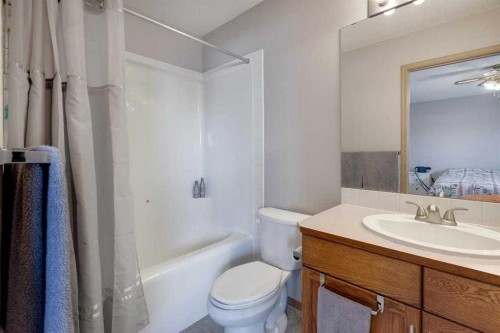 191 Applebrook Circle Se, Calgary, AB - Indoor Photo Showing Bathroom