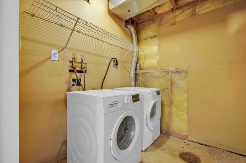 191 Applebrook Circle Se, Calgary, AB - Indoor Photo Showing Laundry Room