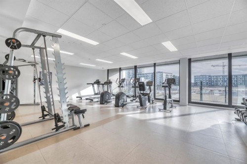 302-105 Lebel Crescent Nw, Calgary, AB - Indoor Photo Showing Gym Room