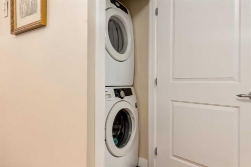 219-1110 3 Avenue, Calgary, AB - Indoor Photo Showing Laundry Room