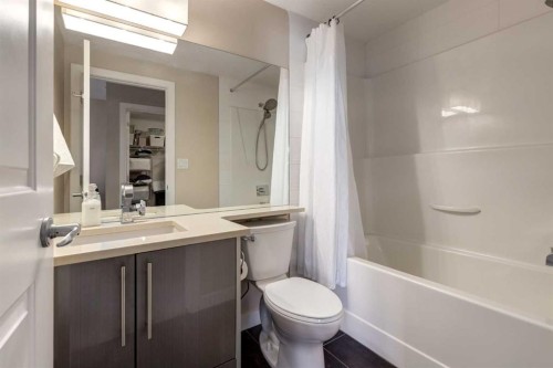 219-1110 3 Avenue, Calgary, AB - Indoor Photo Showing Bathroom