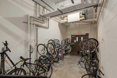 219-1110 3 Avenue, Calgary, AB - Indoor Photo Showing Garage