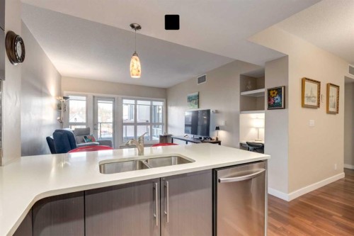 219-1110 3 Avenue, Calgary, AB - Indoor Photo Showing Kitchen With Double Sink