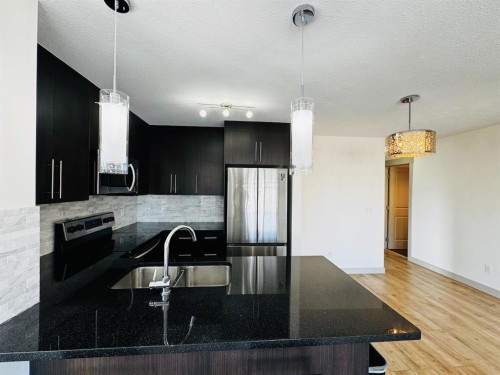 6406-155 Skyview Ranch Way Ne, Calgary, AB - Indoor Photo Showing Kitchen With Double Sink With Upgraded Kitchen