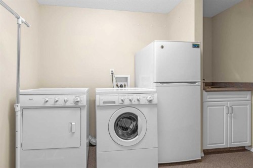28 Prominence View Sw, Calgary, AB - Indoor Photo Showing Laundry Room