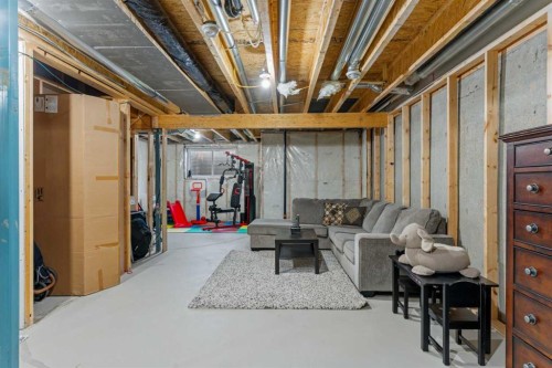 74 Legacy Glen Common Se, Calgary, AB - Indoor Photo Showing Basement