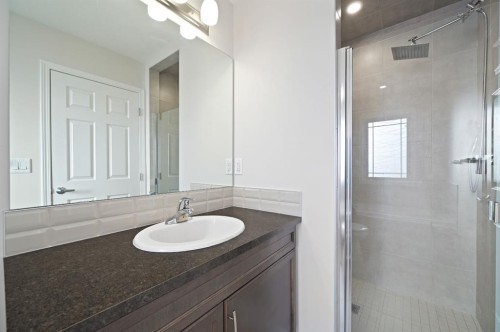 418 Windrow Common Sw, Airdrie, AB - Indoor Photo Showing Bathroom