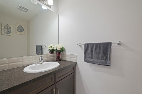 418 Windrow Common Sw, Airdrie, AB - Indoor Photo Showing Bathroom