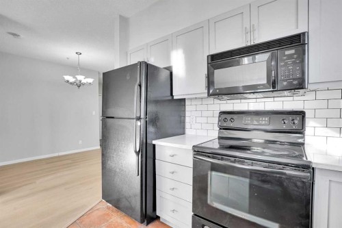 1119-333 Taravista Drive Ne, Calgary, AB - Indoor Photo Showing Kitchen