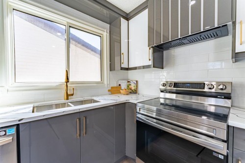 344 Templeview Drive Ne, Calgary, AB - Indoor Photo Showing Kitchen With Stainless Steel Kitchen With Double Sink