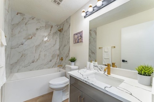 344 Templeview Drive Ne, Calgary, AB - Indoor Photo Showing Bathroom