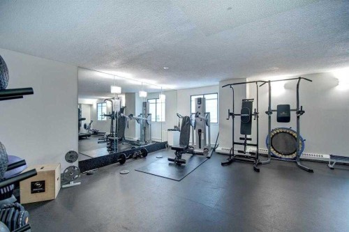 311-9800 Horton Road Sw, Calgary, AB - Indoor Photo Showing Gym Room