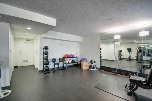 311-9800 Horton Road Sw, Calgary, AB - Indoor Photo Showing Gym Room