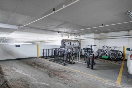311-9800 Horton Road Sw, Calgary, AB - Indoor Photo Showing Garage