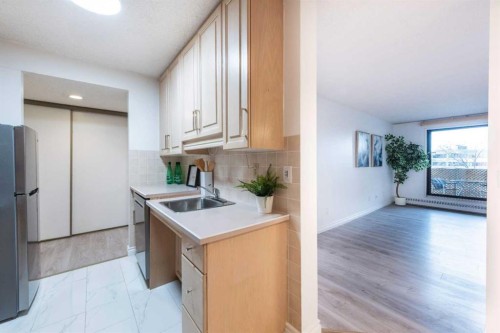 311-9800 Horton Road Sw, Calgary, AB - Indoor Photo Showing Kitchen