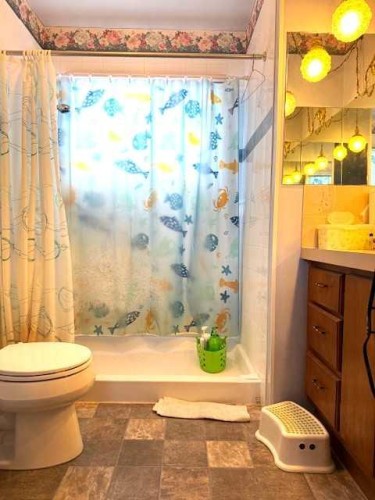 1436 Robson Crescent Se, Calgary, AB - Indoor Photo Showing Bathroom