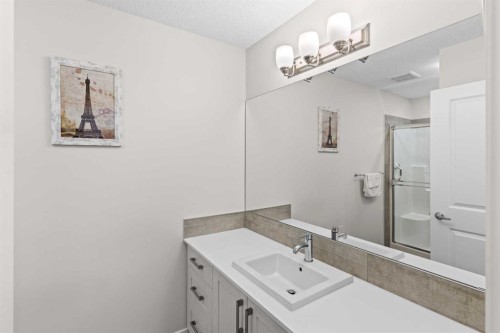 492 Chinook Gate Square Sw, Airdrie, AB - Indoor Photo Showing Bathroom