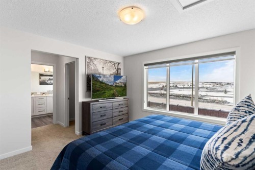 492 Chinook Gate Square Sw, Airdrie, AB - Indoor Photo Showing Bedroom