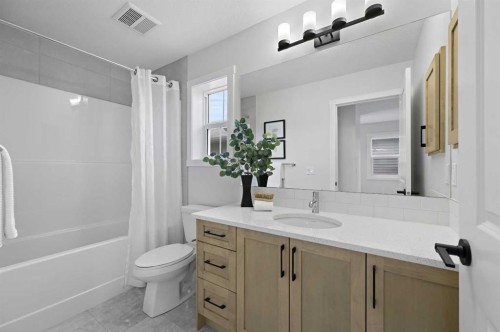 111 Fireside Street, Cochrane, AB - Indoor Photo Showing Bathroom
